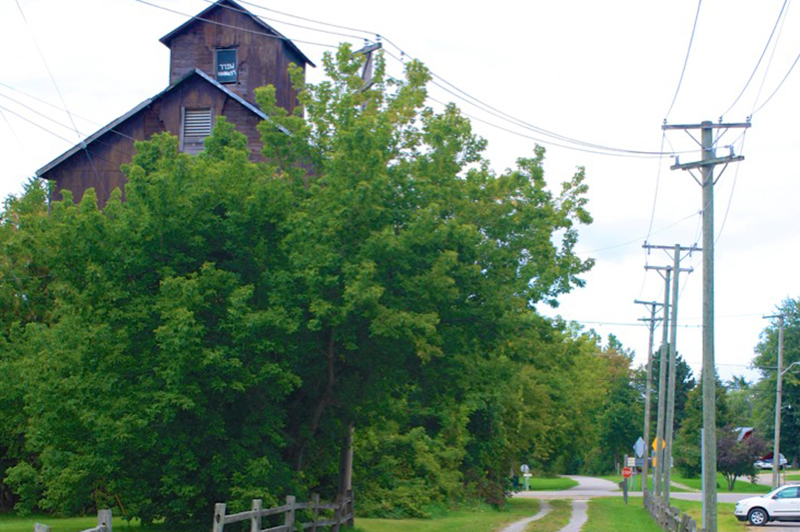 Polly Ann Trail